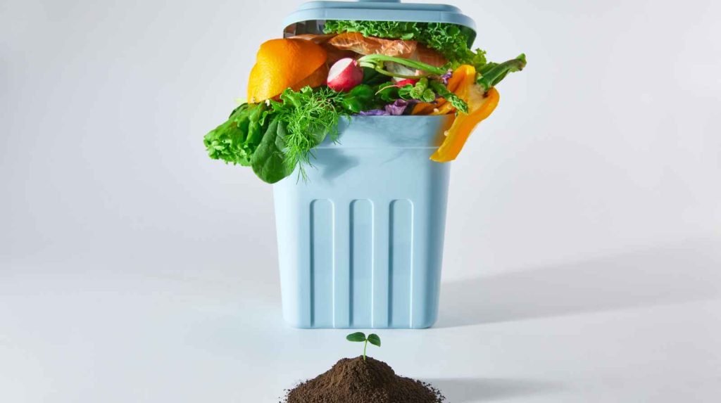 פחי אשפה מעוצבים