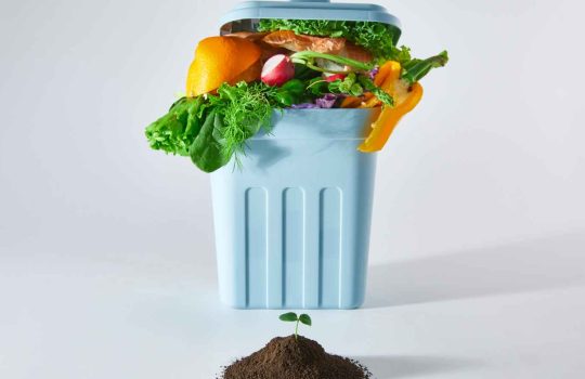 פחי אשפה מעוצבים2